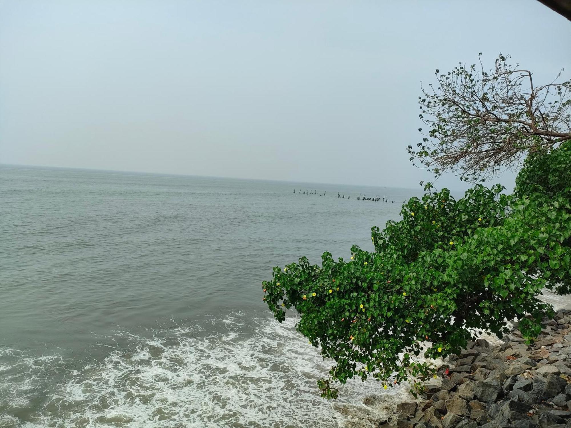 Coastal Den Homestay Pallipuram Exterior foto